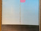 Wire - Pink Flag (Original Vinyl Album 1977, EMI)
