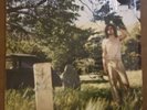 Ariel Pink’s Haunted Graffiti 2 The Doldrums