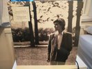 David Sylvian Brilliant Trees Vinyl LP 180g+ Enhanced Artwork NEW/SEALED Japan