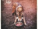 Rag'n'Bone Man Wolves Vinyl Record New Sealed