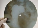 LED ZEPPELIN BABY IM GONNA LEAVE X-Ray USSR Record Roentgen Bones Music Vinyl