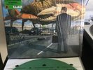 MAMMOTH WVH Wolfgang Van Halen 2LP VG++ EMERAL GREEN VINYL SIGNED ALBUM ART