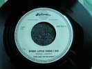 Dion and the Belmonts-Every little thing I do 7s-Musterplatte-1959 German-453053