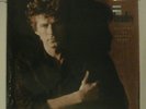 *SEALED* DON HENLEY BUILDING THE PERFECT BEAST VINYL RECORD 1984 ORIG 1ST Eagles