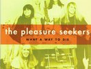PLEASURE SEEKERS & SUZIE QUATRO What a way to Die 7 NEW girl garage alice cooper