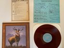 Killdozer - Twelve Point Buck - Burgundy Vinyl - Touch & Go Vinyl LP - Rare Find