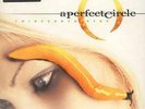 A Perfect Circle - Thirteenth Step (Vinyl)