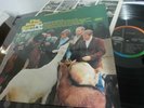 The Beach Boys – Pet Sounds Lp 1966 1ST pRESS Capitol Records – STK 74 147