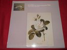J.S.Bach Six Suites For Unaccompanied Cello Jean Max Clement OLS 133