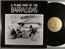 The Barracudas  A Plane View Of The Barracudas   RARE  Original Garage Justice