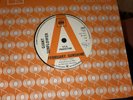 GIANT SUNFLOWER ( FEBRUARY SUNSHINE) MEGA ?DEMO 45 UK  1967 MOD 7” PSYCH ROCK