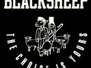 Black Sheep The Choice Is Yours (Vinyl) 7