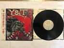 Y & T - Black Tiger / POSTER / A&M Records / VICTOR / JAPAN / AMP-28055
