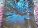 Hum Downward Is Heavenward - NEW SEALED Black Vinyl LP - Limited Reissue