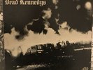 DEAD KENNEDYS Fresh Fruit For Rotting Vegetables LP UK 1980 No Heads Poster