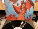 Meat Loaf - Bat Out Of Hell II: Back Into Hell (vinyl). Near Mint. Stunning.