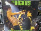 THE DICKIES Live When They Were Five: City Gardens 1982 Signed by STAN LEE Punk