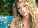 Taylor Swift by Taylor Swift Vinyl 2016, 2 Discs, Big Machine Records