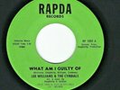 SWEET/FUNK SOUL 45  Lee Williams & the Cymbals  Rapda  1002