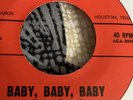 Rock N Roll45 The Blackwell Twins Baby Baby Baby/that’s My Baby Bayberry Vg+