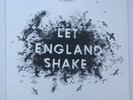 PJ Harvey - Let England Shake 2011 Vinyl LP + inner sleeve Island Records
