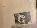 FLEETWOOD MAC- Tusk 2 xL.P. (NEW SEALED 2019) SILVER COLOURED VINYL