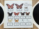 THE JAM - THE BUTTERFLY COLLECTOR V RARE USA 2X12