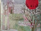 MARGOT & THE NUCLEAR SO AND SO'S Not animal vinyl 2xLP (1st pressing)