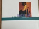 DAVID SYLVIAN & ROBERT FRIPP the first day 2X LP EX/EX, V2712, vinyl, art rock,