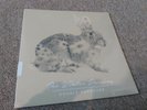 The Winter Passing - Double Exposure (Clear With Cream Splatter Vinyl)
