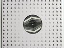 Traumprinz Paradise With A Lobotomy Kann Records 12