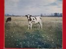 Pink Floyd - Dark Side Of The Moo - LP