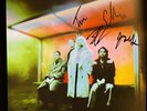 WOLF ALICE - BLUE WEEKEND - LTD RED VINYL LP + SIGNED PRINT Gatefold Sealed MINT