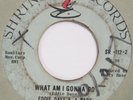 EDDIE DAYE & 4 BARS Guess Who Loves You SHRINE 45 orig. 1966 northern soul HEAR