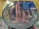 Trey Anastasio Record Store Day Blue Ash And Other Suburbs Picture 7