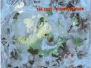 The Cure – Disintegration (1990) Fiction Records – FIXHP 14 vinyl picture disc