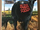 BLINK 182  DUDE RANCH  LTD EDITION (LTD TO 500) VINYL LP ONLY 500 RELEASED