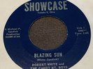 RARE BLUEGRASS 45 Robert White and The Candy Mt, Boys WILEY'S RIDE VG++ SHOWCASE