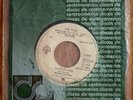The Time – Jungle Love 