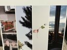The Difference Between Hell and Home by Counterparts Hot Topic Blue Vinyl