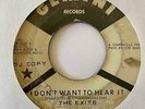 Northern Soul 45 THE EXITS I Don't Want To Hear It Gemini Promo HEAR Rare