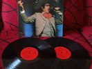 VICENTE FERNANDEZ *20 Grandes Canciones* RARE Spain 2-LP SET 1991 Mariachi Folk