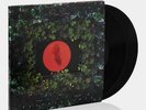 Moses Sumney - Live From Blackalachia 2xLP Vinyl Record