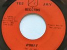 45 rpm Rare Tee Jay Records 8701 Roscoe Shelton What Is It, Baby? / Worry