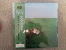 Vinyl 12
