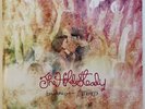 Boys and Girls in America - The Hold Steady Deluxe Edition Vinyl LP New MINT
