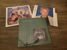 Wang Chung Vinyl 3 PACK, MINT VINYL, SHRINK THE WARMER SIDE OF COOL (R226)