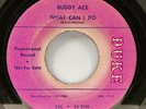 BUDDY ACE: What Can I Do / Screaming Please 45 PROMO 1961 Duke 346 R&B RARE