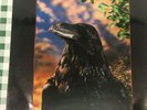 The Stranglers Raven UK LENTICULAR COVER  EX lp                  (2)