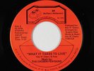 Modern Soul 45 - Chosen Few Band - What It Takes To Live - BR - VG+ mp3